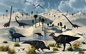 Parasaurolophus: Dinosaurs gather at a life saving oasis