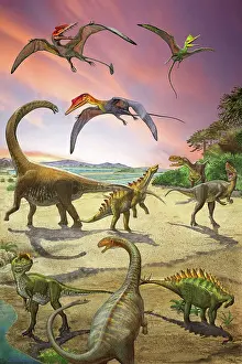Pterosaur: Dinosaurs of the Jurassic Period