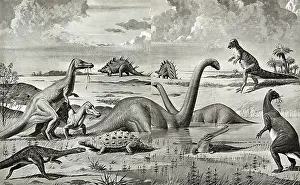 Neave: Dinosaurs of the Mesozoic Era - China