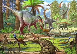 Stocktrek Images: Dinosaurs roaming a prehistoric forest