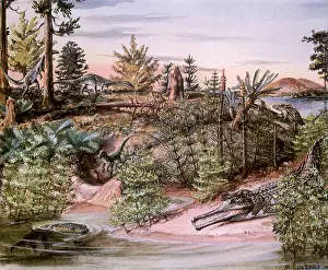 Fossils: Dinosaurs in a Swamp