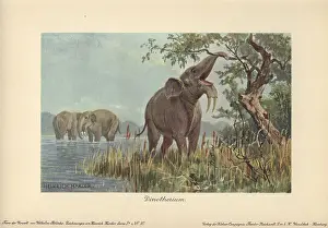 Dinotherium: Dinotherium, prehistoric relative to the elephant