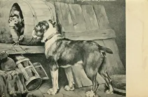 Cynic: Diogenes and Alexander