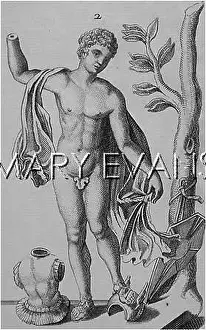 Glaucus: DIOMEDES STRIPS