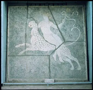 Pella: DIONYSUS RIDES A LEOPARD