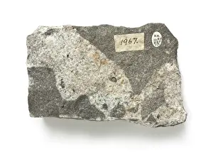 Diorite: Diorite intruded by microgranite