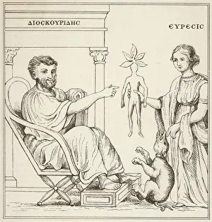 Mandrake: Dioscorides receives a mandrake root from Euresis