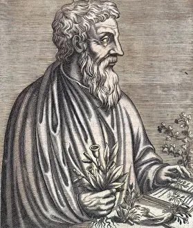 Thevet: DIOSCORIDES (THEVET)