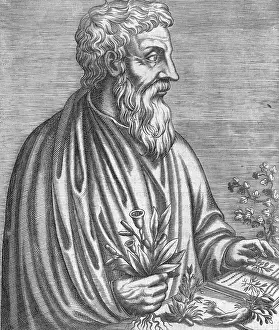 Thevet: DIOSCORIDES (THEVET)