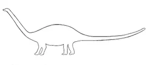 Phanerozoic: Diplodocus