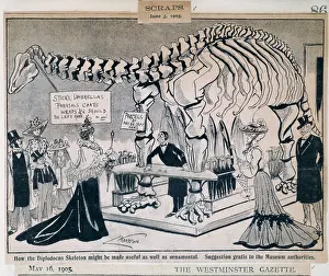 Gazette: Diplodocus carnegiei