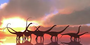 Longus: A Diplodocus dinosaur herd wades through shallow