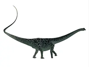 Longus: Diplodocus dinosaur, side profile