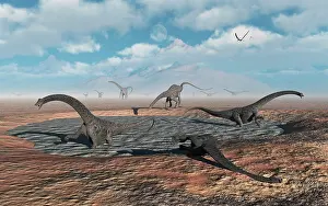 Stuck: Diplodocus dinosaurs caught in a deadly mud pit during a ?