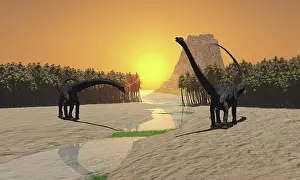 Diplodocus: Two Diplodocus dinosaurs come to a river for a drink in ?