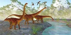Longus: Diplodocus dinosaurs drink from a river as a flock