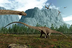 Tithonian: Diplodocus dinosaurs graze while pterodactyls fly overhead
