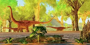 Longus: Diplodocus dinosaurs in a Jurassic forest