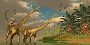 Banthensis: Diplodocus dinosaurs in a mating ritual