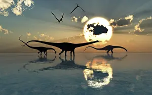 Pterosaur: Diplodocus dinosaurs roaming freely during Earth's