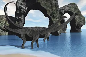 Seashore: Diplodocus dinosaurs wade through shallow waters of a ?