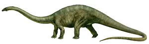 Longus: Diplodocus, a prehistoric era dinosaur
