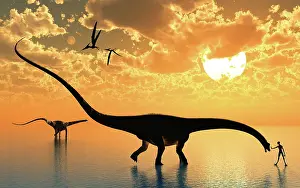Curiosity: Diplodocus sauropod dinosaurs encountering a curious alien