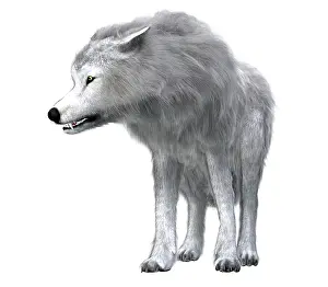 Pleistocene: Dire wolf pack leader