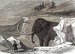 Permafrost: Discovery of the Adams mammoth, 1799