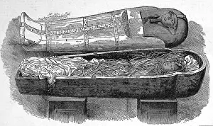 Targeted: Discovery of Royal mummies at Thebes