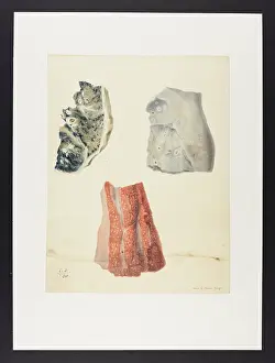 Lung: Disease of Lung