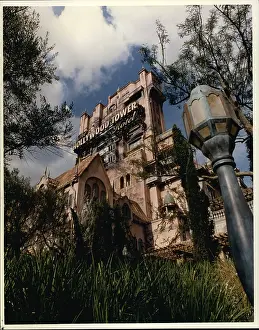 Thrilling: Disney