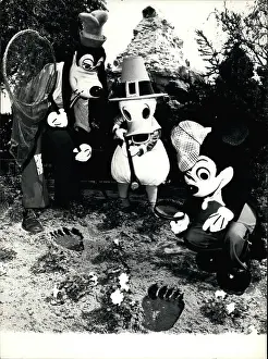 Detected: Disneyland Theme Parks