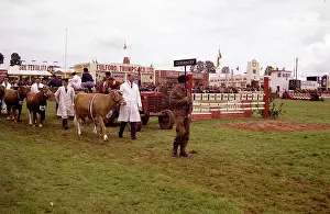 Trumps: Display of cattle at annual County Show, Devon