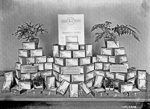 Sending: A display of shamrock boxes on a table for sending to the tr