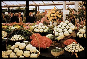 Physic: A display of vegetables arranged in baskets