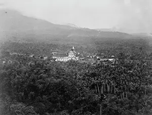 Arecaceae: Distant tower seen over palm trees. Fiji