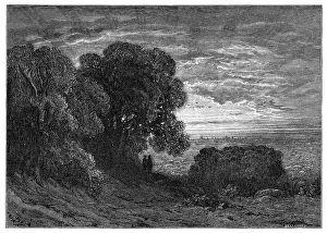Highgate: DISTANT VIEW