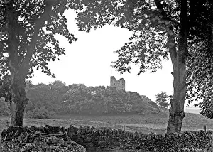 Strangford: Distant view of Audley's Castle, Strangford