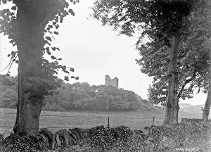 Strangford: Distant view of Audley's Castle, Strangford
