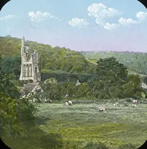 Ryedale: Distant view of Byland Abbey, Ryedale, North Yorkshire