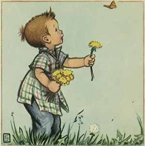 Fluttering: Distracted by Butterfly
