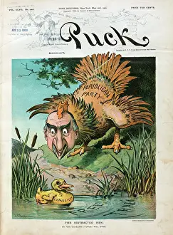 Platt: The distracted hen