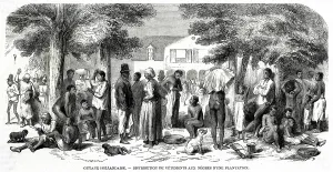 Brutal: Distributing Clothes to the Slaves of a Plantation