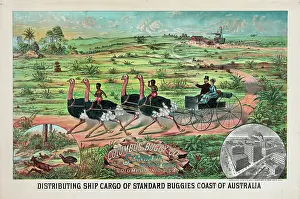 Distributing: Distributing ship cargo of standard buggies coast of Austral