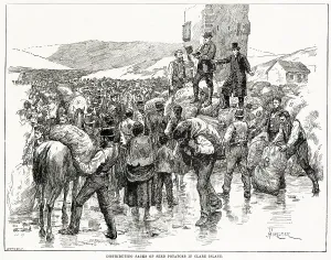 Relieving: Distribution of seed potatoes in Ireland 1886