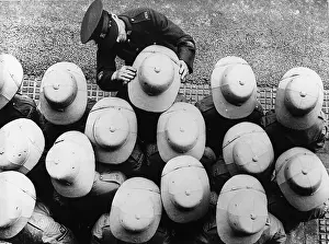 Topi: Distribution of topees