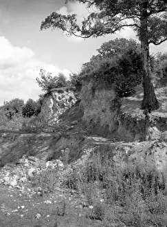 Disused: Disused quarry at Mereworth