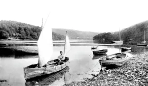 Dittisham: Dittisham, on the Dart 1889