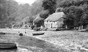 Dittisham: Dittisham on the Dart